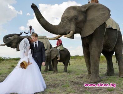 Кори Перкинс в една африканска сватба