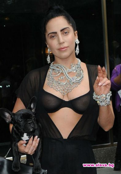 Лейди Гага създава модна линия за кучета