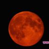 "Кървавата Луна" вещае Апокалипсис на 28 септември 
