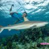 Нина Добрев се гмурка сред акули на Бахамите