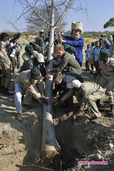 Принц Хари посади баобаб в Ботсвана 