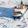 Учени от 19 страни в Арктика търсят решение на климатичните промени