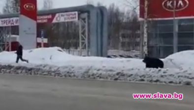 Мечка преследва мъж по улици на замръзнал град от Западен Сибир (Видео)