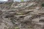 Открито е запазено селище от Каменната ера в Северна Гърция