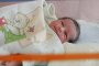 40 бебетата в Новогодишната нощ