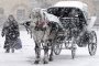 Виенските файтонджии се пропили