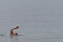 Извадиха лек автомобил от морето край Ахелой 
