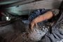 Бизнес сграда се срути и погреба 82 души