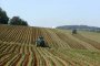 55 млн. лв гарантирани за земеделските производители