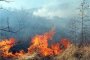Овладяха пожарите