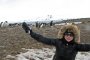 Евелина Борисова пресече пътя на пингвините
