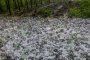 Възможни бури и градушки в 12 области утре
