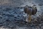 Снаряд удари болница в Донецк - поне 15 загинали