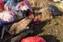 Гранични полицаи в бракониерската дружинка за глигани на Варвара