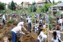 Витоша става дом на втората гора на Моят зелен град