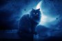   Кошмарът на суеверните: Днес е петък 13-и