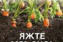   Бестселърът Яжте мръсно излиза на книжния пазар