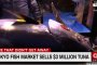   Суши магнат даде $3,1 млн. за риба тон