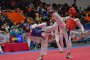 Световното първенство по таекуондо в Пловдив 