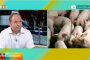 Зам.-министър: Всеки с регистрирано стопанство с прасета ще бъде обезщетен