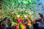  Идва най-цветното парти ELROW