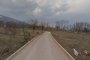  Където Горски дух срещна Вълшебно биле без гора и билки