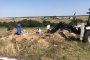  Откриха 100 тона загробени пестициди в страната