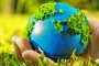 WWF: ЕС не успява да изпълни целите за биоразнообразието до 2020 г. 