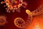 К19 ще стане настинка като останалите к-вируси: Science