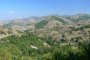 И армията търси изчезналия човек в Родопите 