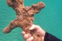 Израелски водолаз откри рицарски меч на 900 години