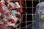 4 ЛАПИ: Пандемията има връзка с отношението към животните