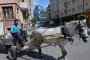 София ще "арестува" коне, забранява каруците