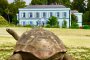 Костенурката Джонатан в Plantation House на остров Света Елена