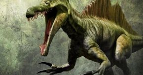 бързи факти