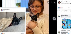  Кучето е официално медийно оповестено като подарък за Деня на влюбените – Свети Валентин