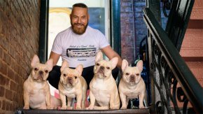 Бързи факти