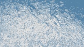 Бързи факти