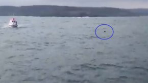 
Турският президент Реджеп Тайип Ердоган също е коментира инцидента, като е обясни, че тези мини експлоадират сами и се самоунищожават веднага щом излязат на повърхността