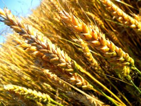 Русия отбеляза, че ситуацията е променена с блокирането на всички нейни сметки и дори на резервите на нейната централна банка в немските и другите европейски банки – общо 300 млрд.евро.