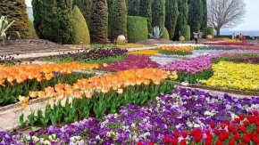 Фото на деня