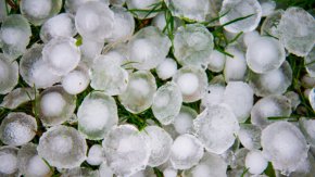  Земеделските производители край Садово, които пострадаха за пореден път от градушката, и днес излязоха на протест и затвориха пътя Пловдив – Хасково