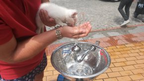 Лятото е сезон, в който водата е жизненоважна