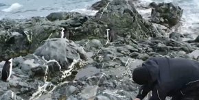 До 2045 г. на ледения континент има мораториум за добива на полезни изкопаеми. 