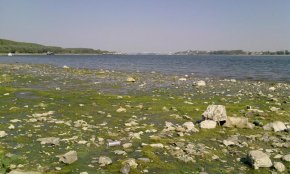 Маловодието е обхванало цялата река. 