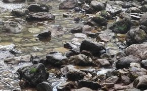 
Между 12 и 13 хиляди души в област Своге имат нужда от вода, която ще им бъде доставена от водоноски.