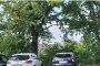 Автогарата на Приморско