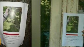 Змията се казва Морени и е дълга 1,5 метра.