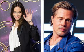 
Бившата компания на Джоли твърди, че предполагаемата схема на Пит е означавала, че тя "никога няма да види и цент" от "десетките милиони долари печалба" на Chateau Miraval.
 