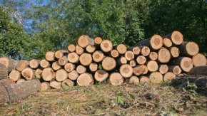 Повод за решението са многобройните оплаквания на местните хора от набези на мародери в района.